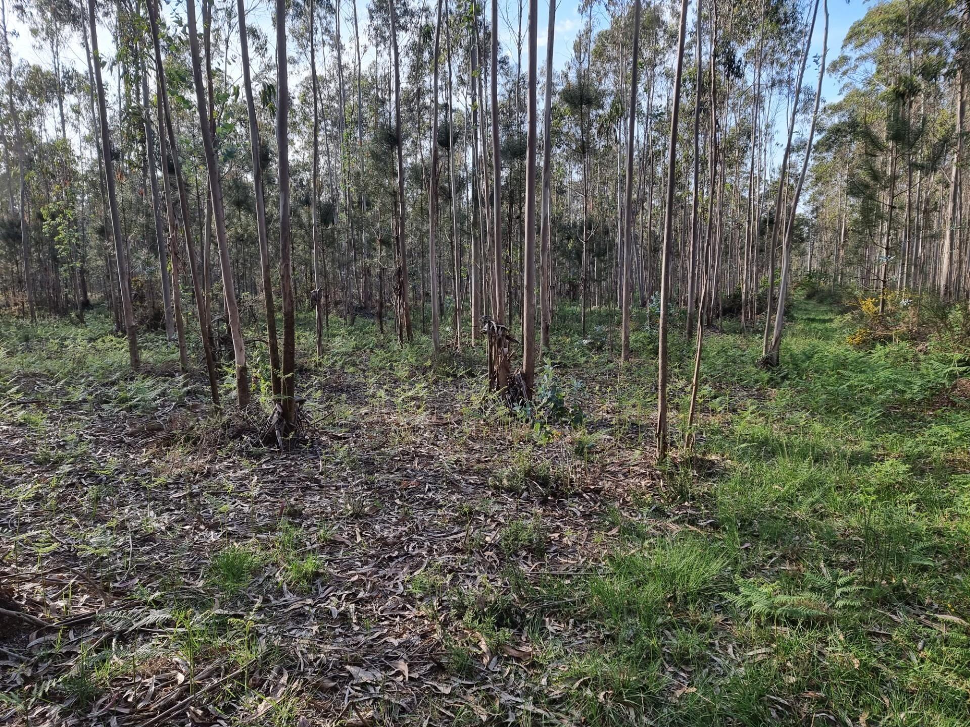 Enterprise Enterprise