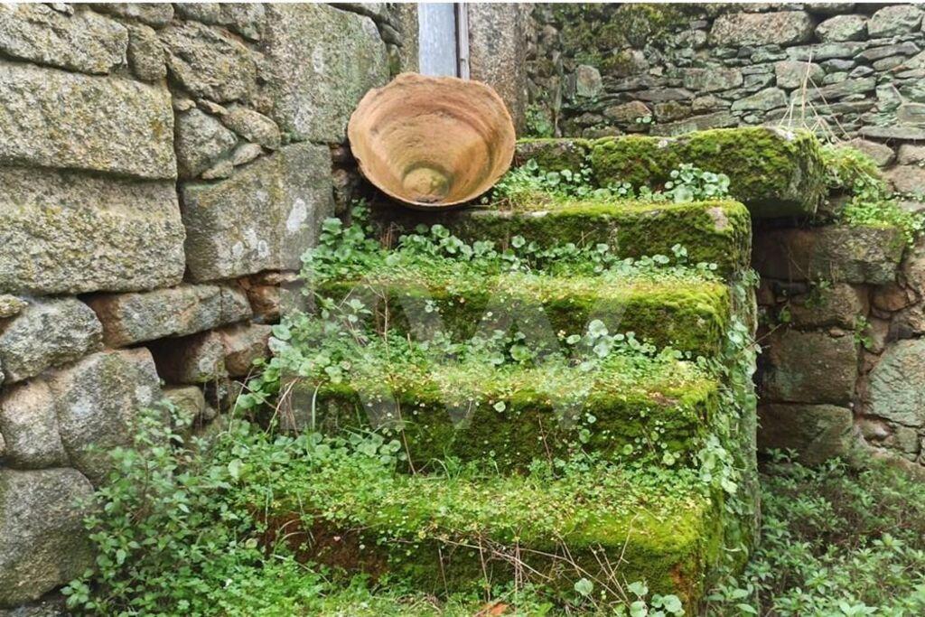 Enterprise Enterprise