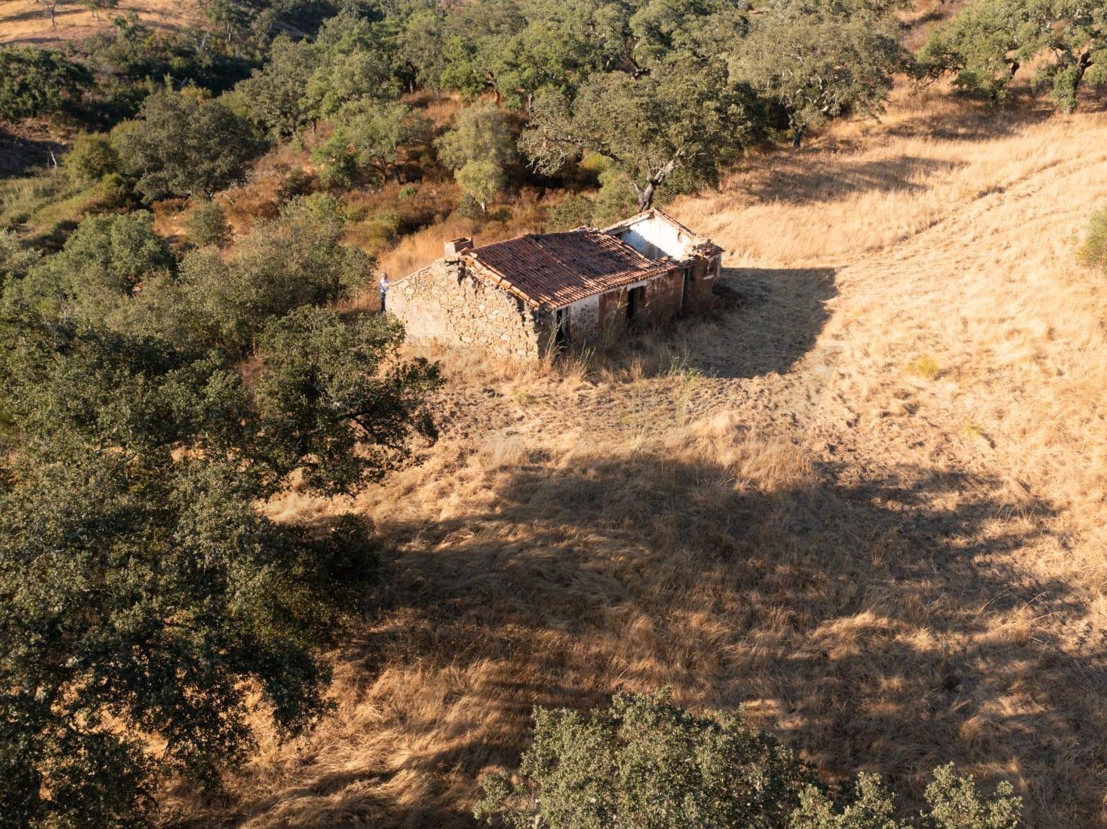 Enterprise Enterprise