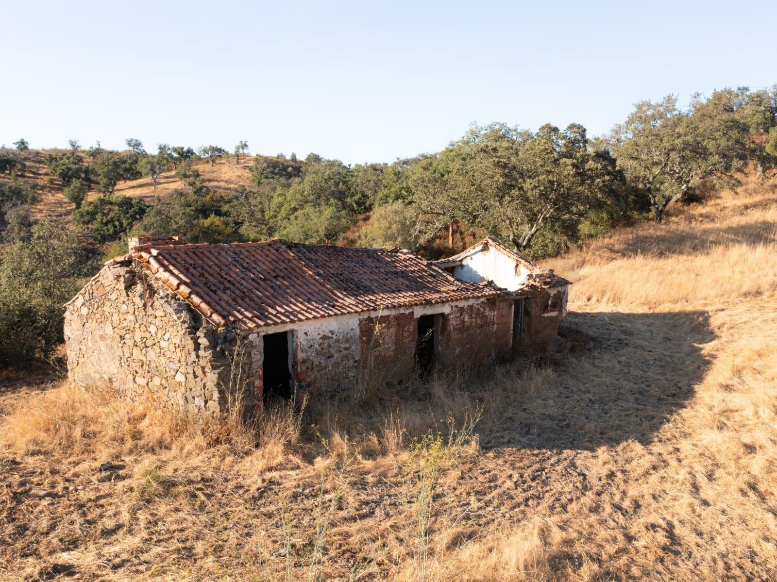 Enterprise Enterprise