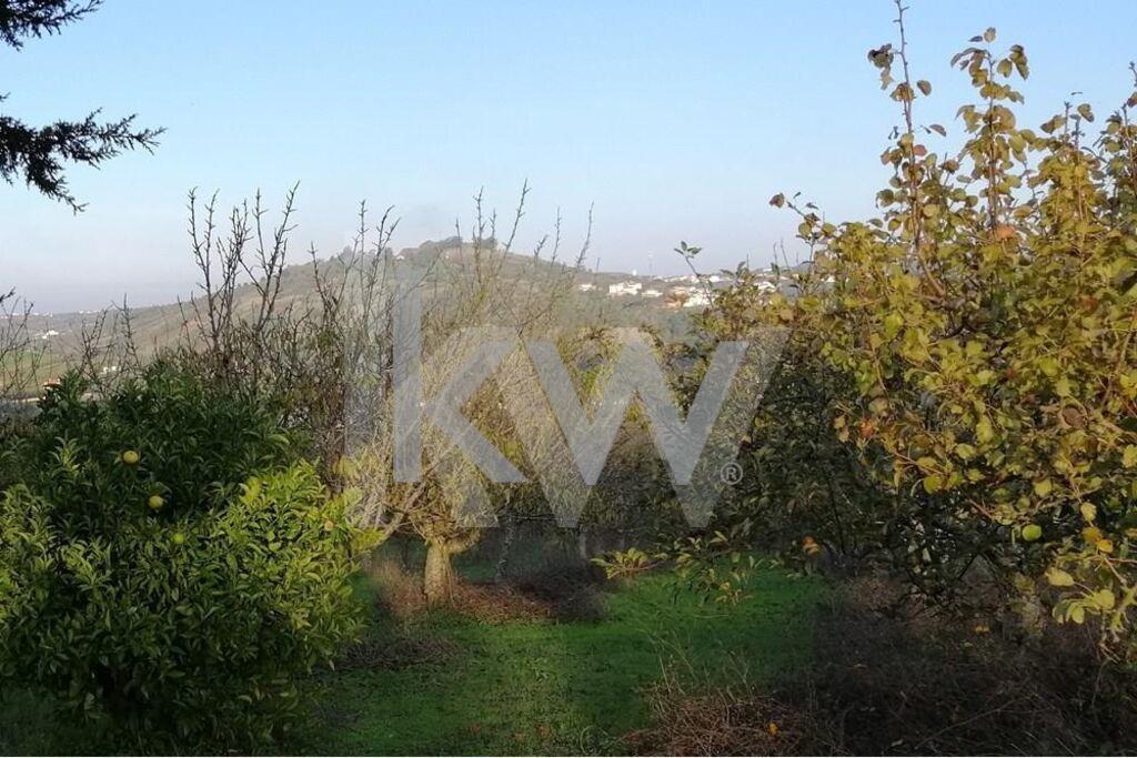 Enterprise Enterprise