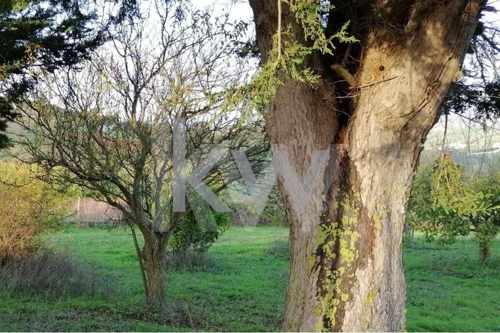 Enterprise Enterprise