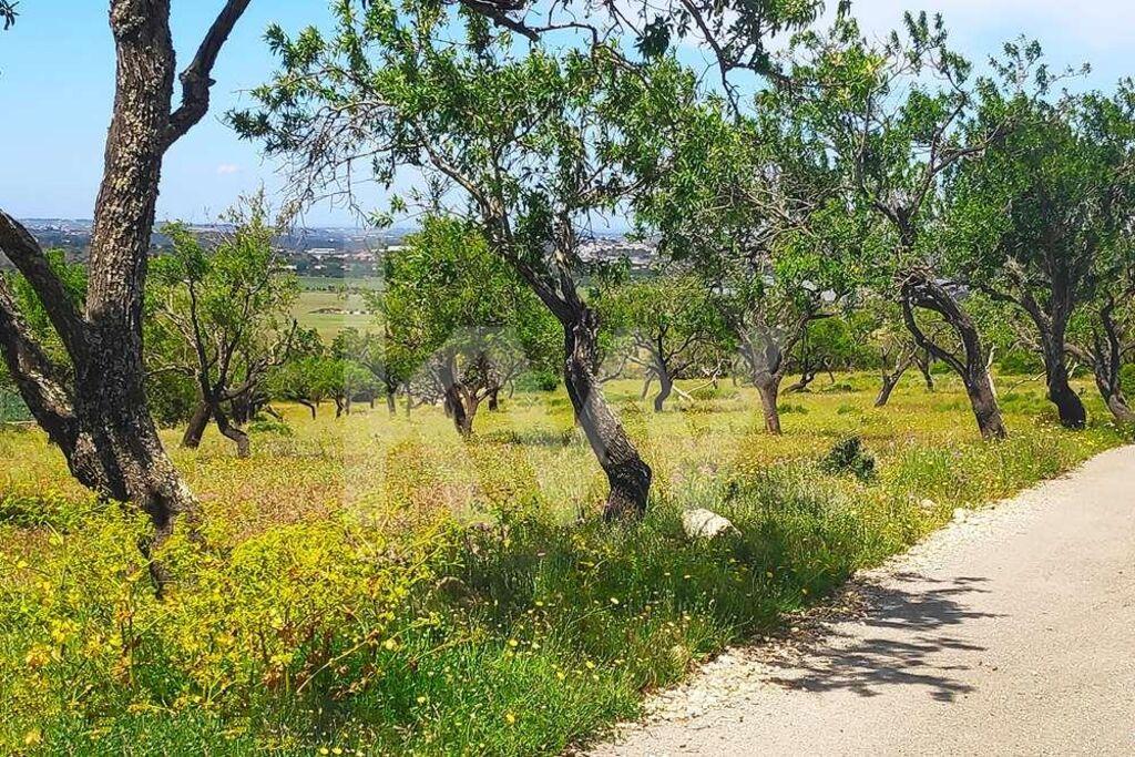 Enterprise Enterprise