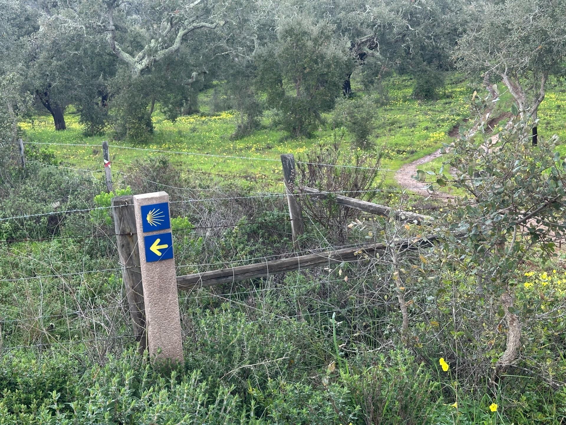 Enterprise Enterprise