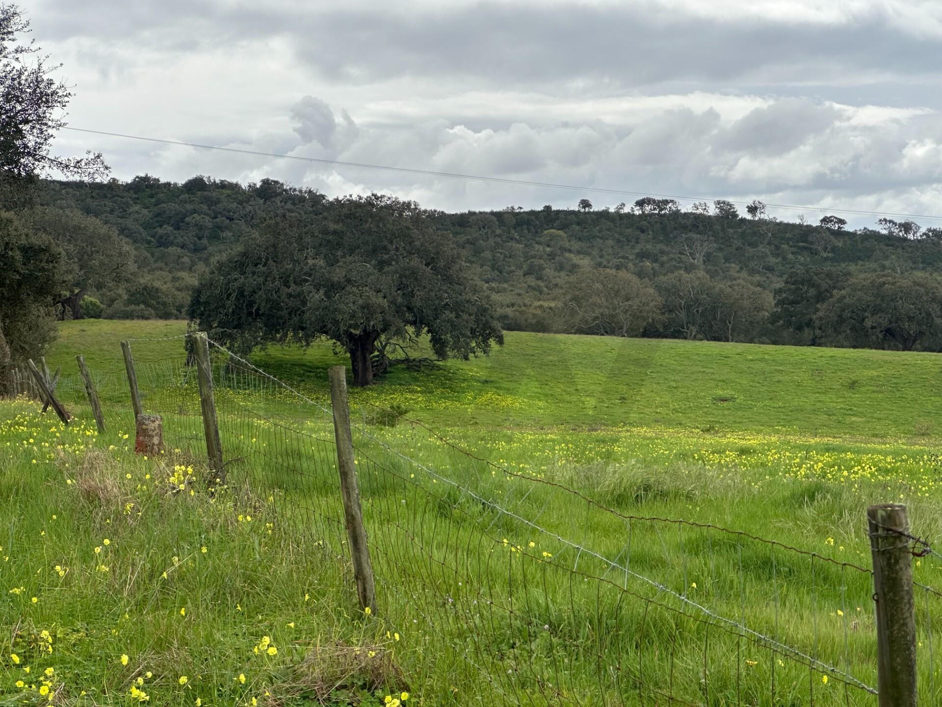 Enterprise Enterprise