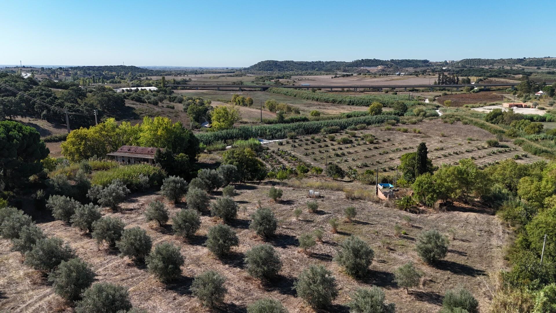 Enterprise Enterprise