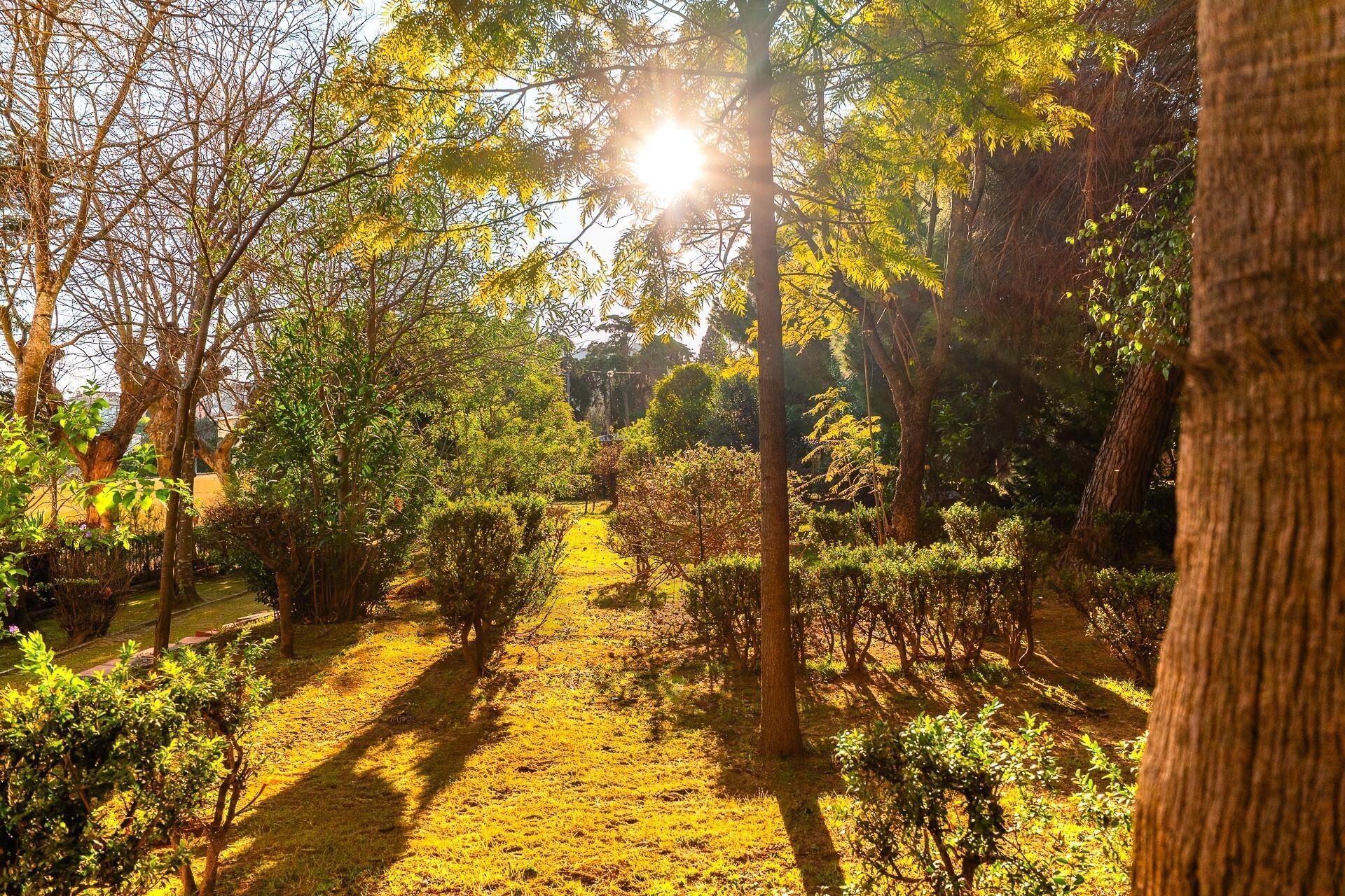 Enterprise Enterprise