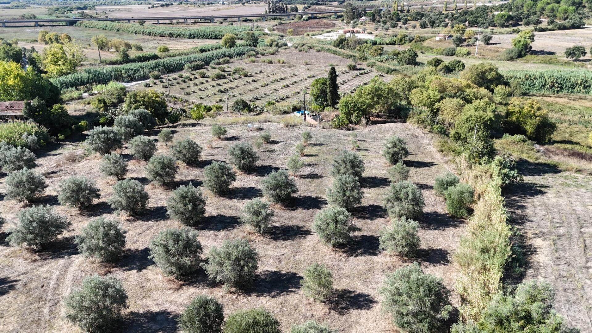 Enterprise Enterprise