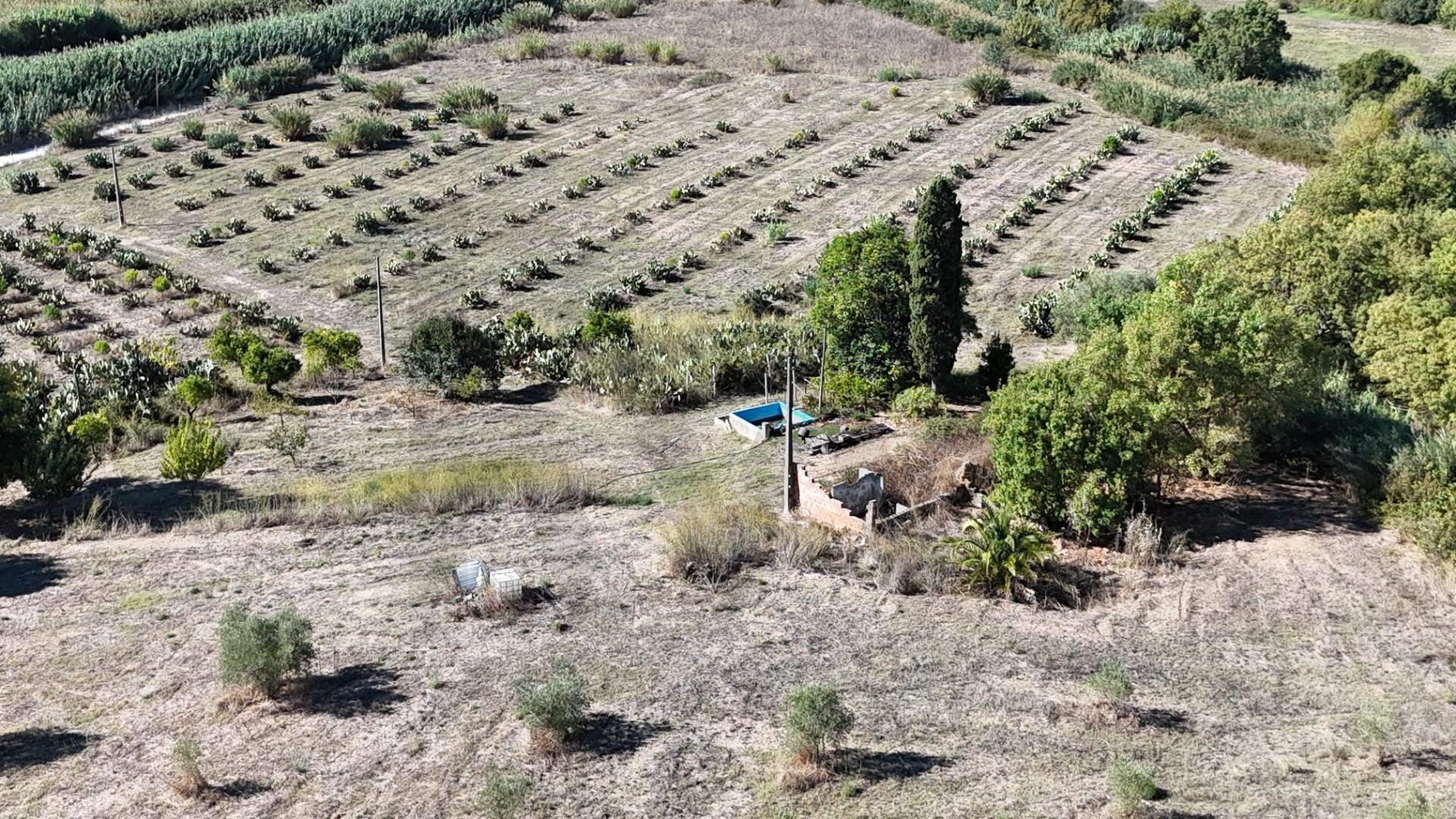 Enterprise Enterprise