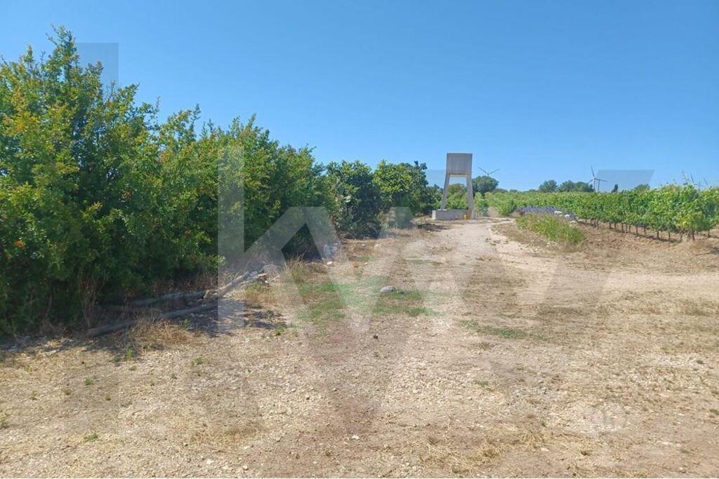 Enterprise Enterprise