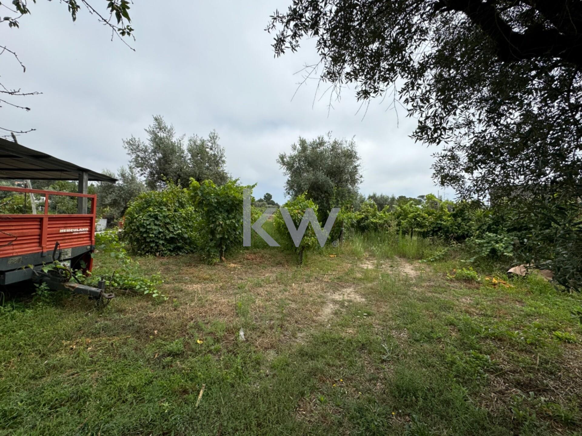 Enterprise Enterprise