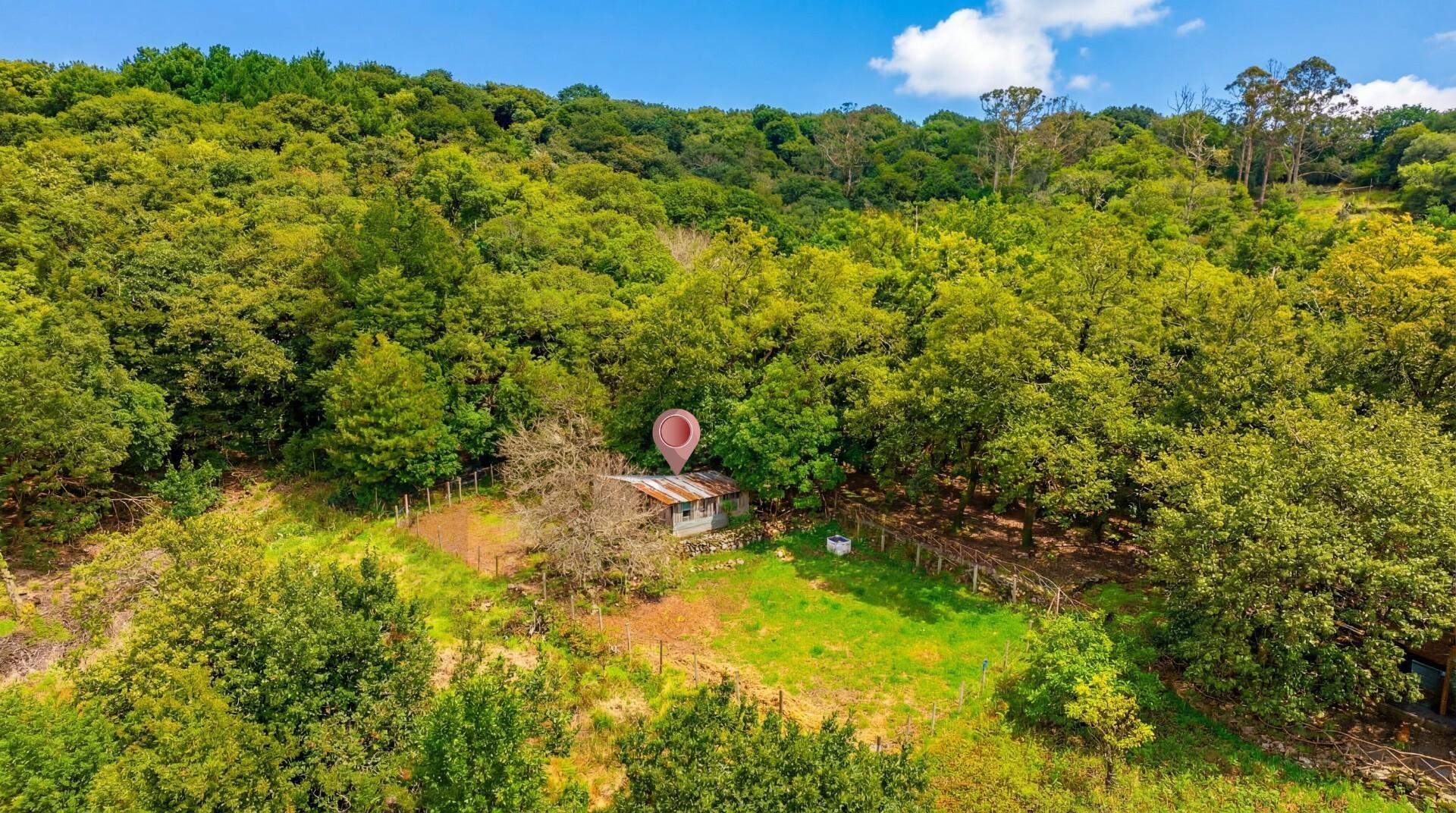 Enterprise Enterprise