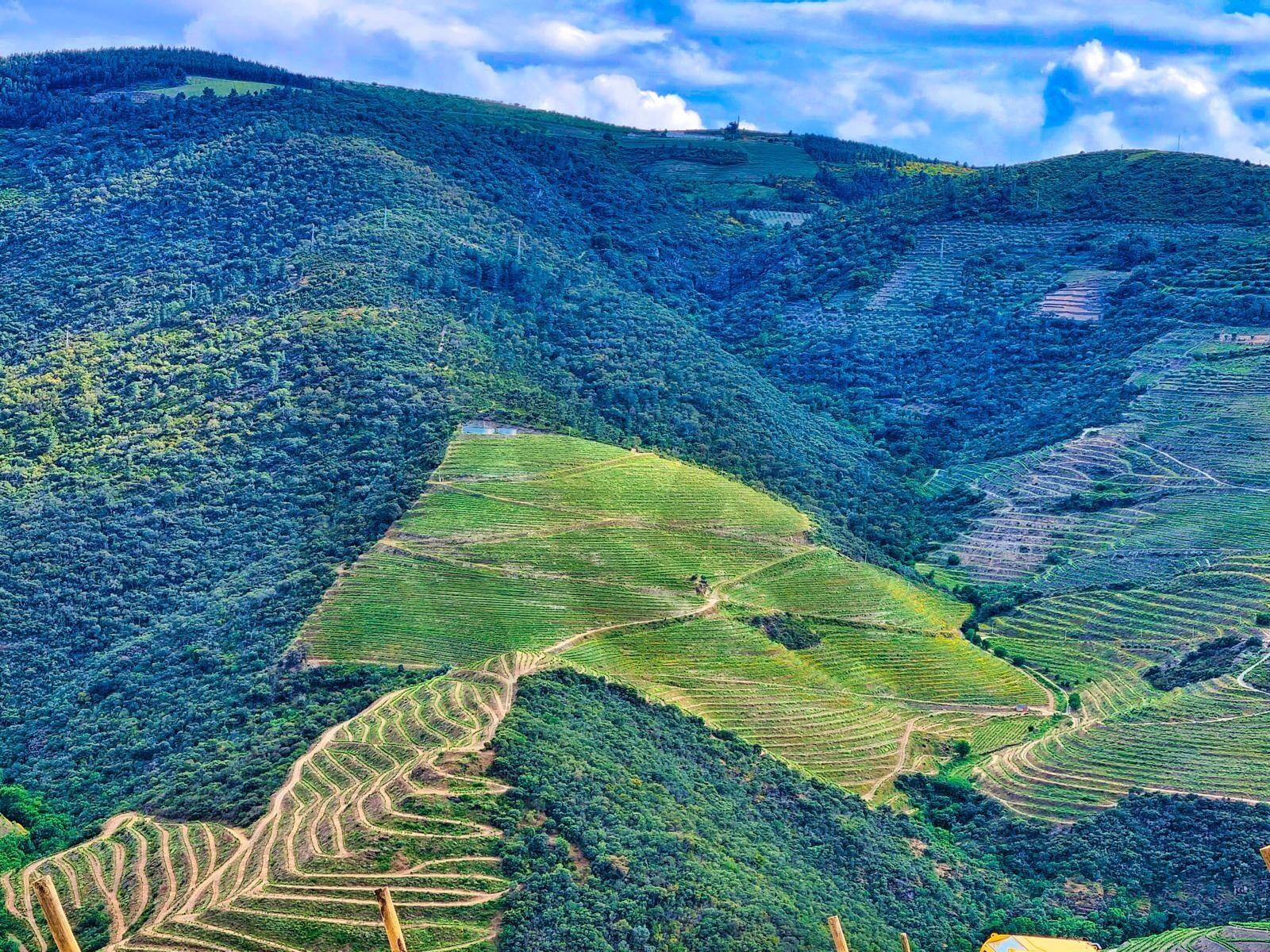 Enterprise Enterprise