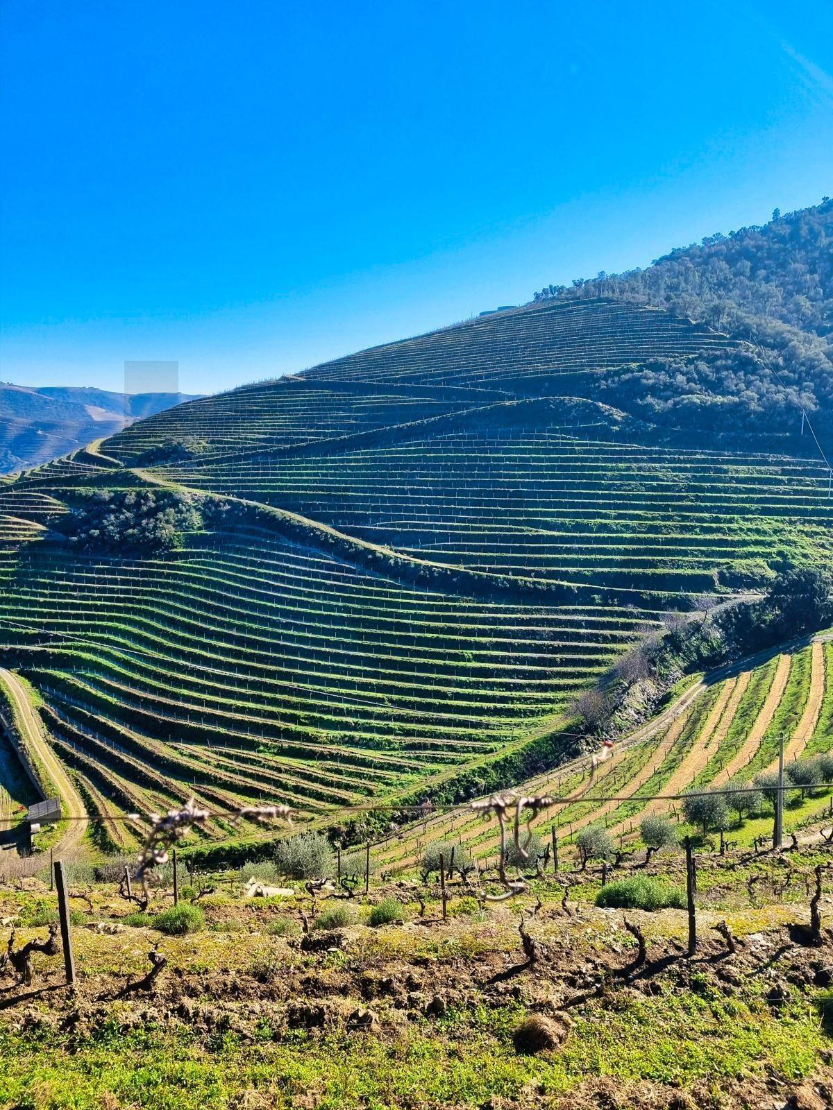 Enterprise Enterprise