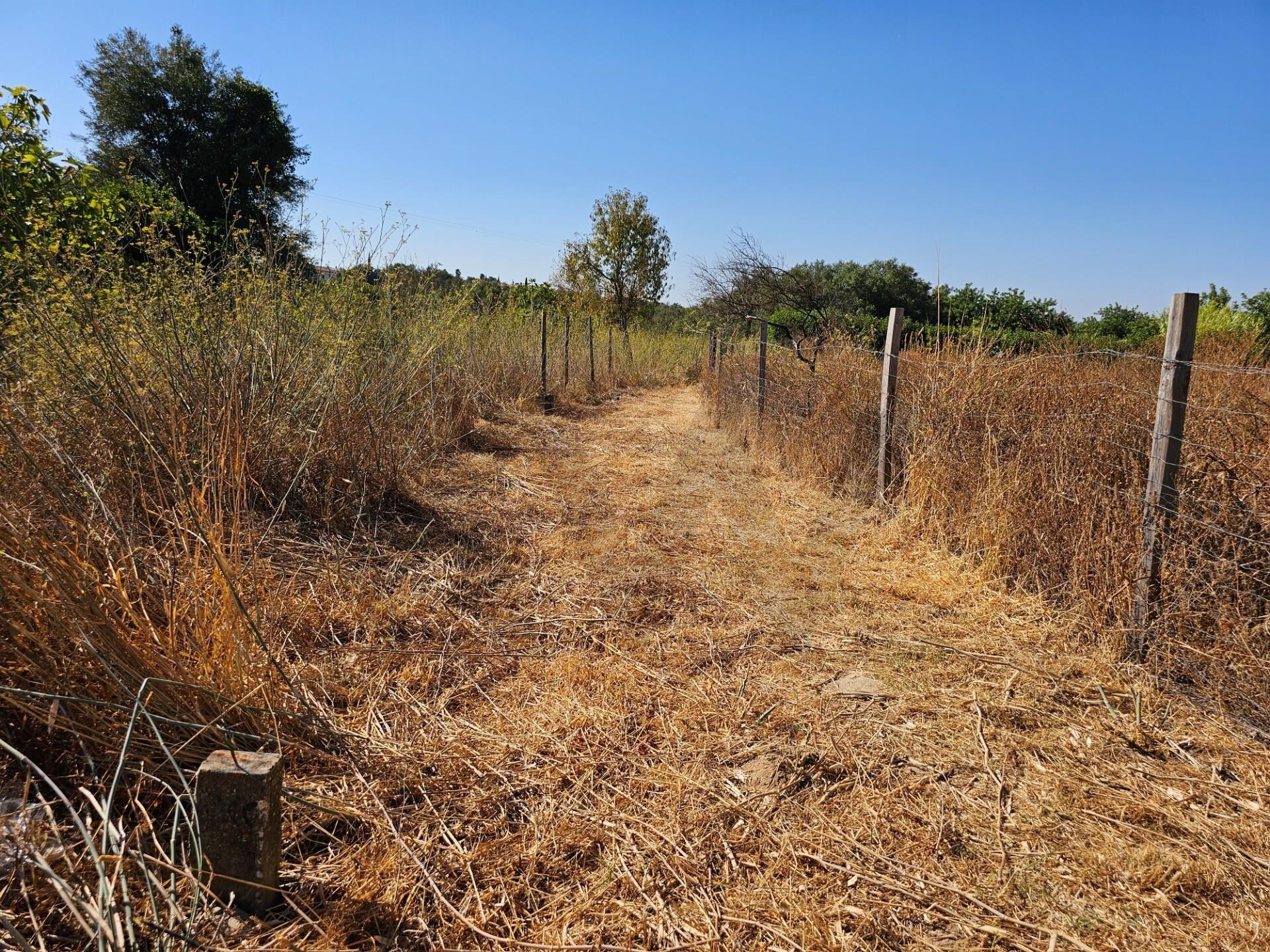 Enterprise Enterprise