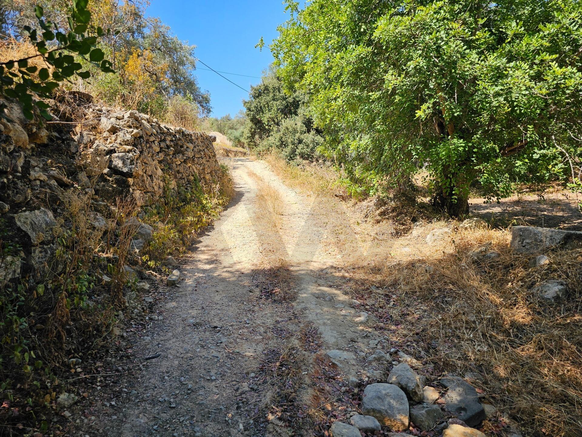 Enterprise Enterprise