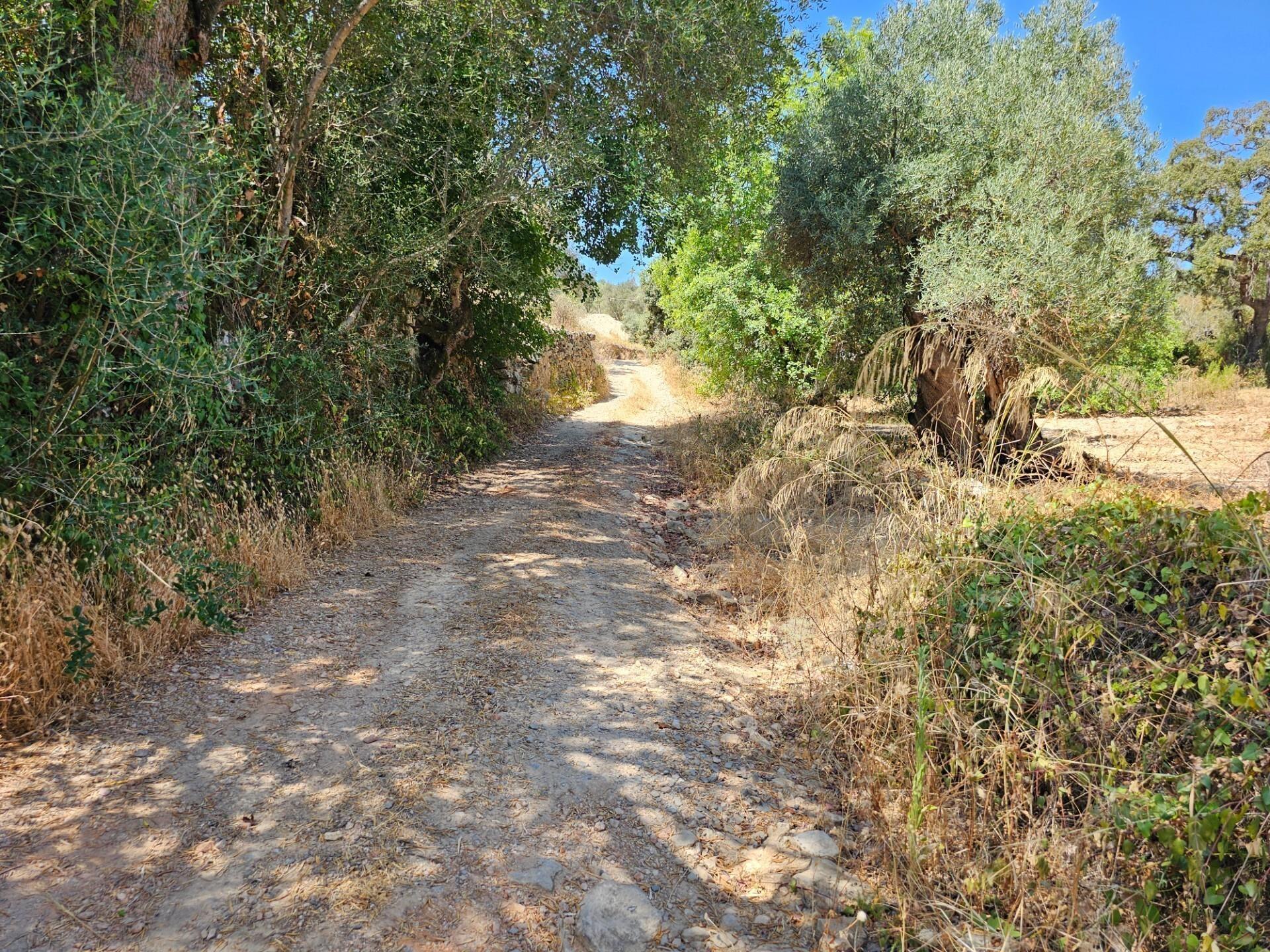 Enterprise Enterprise