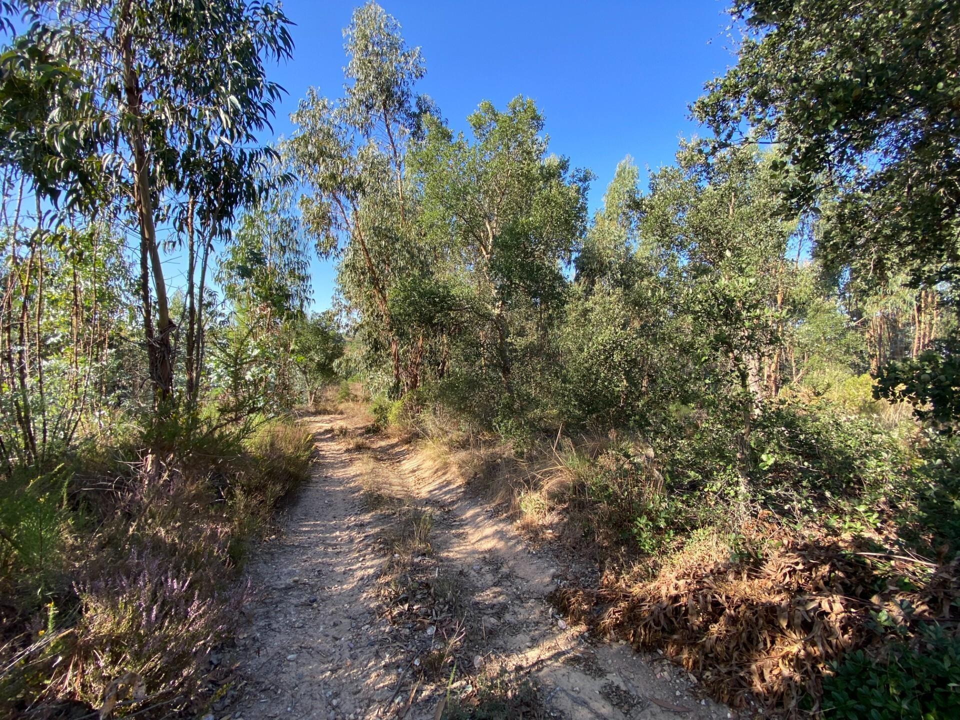 Enterprise Enterprise