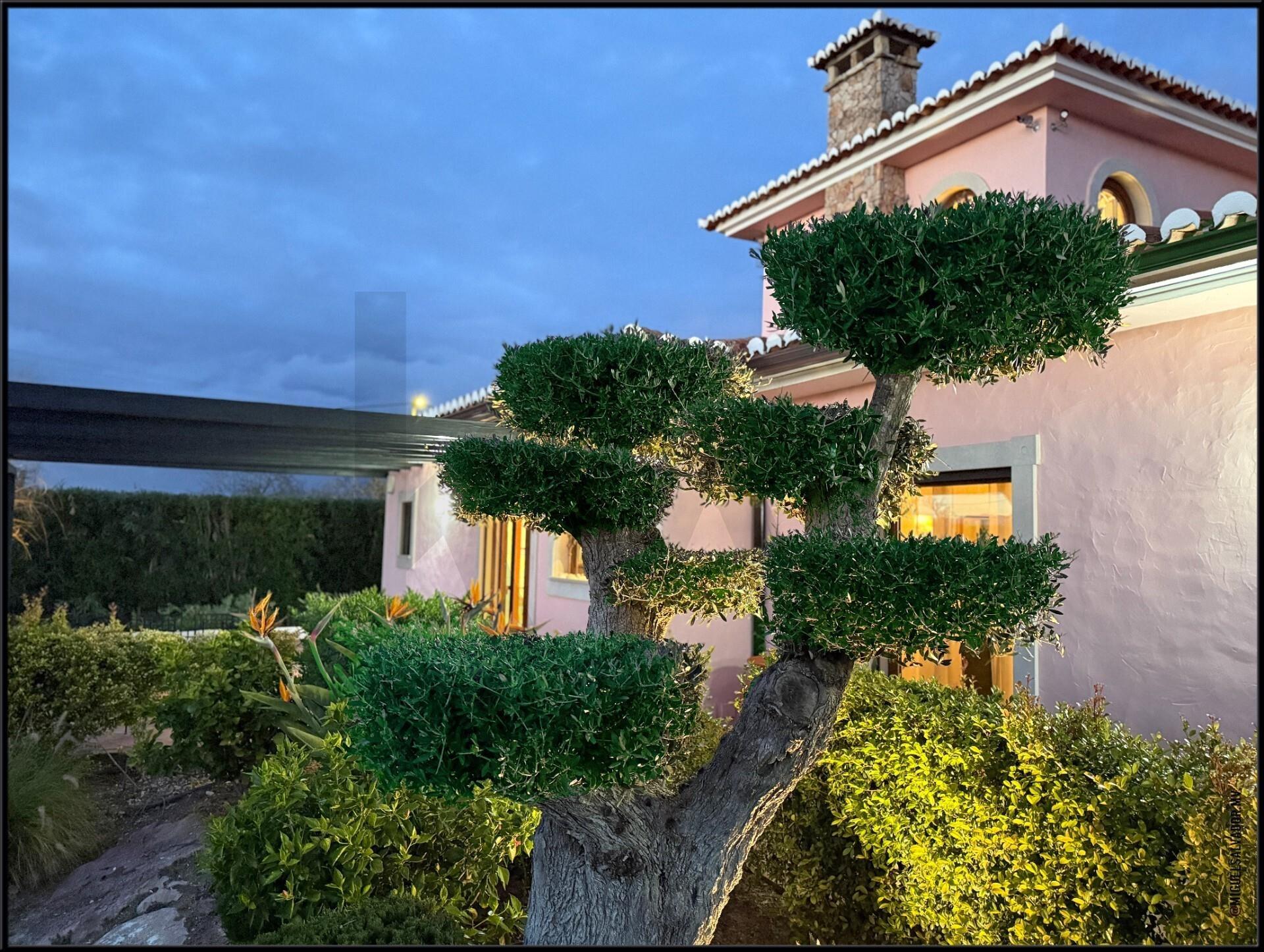 Enterprise Enterprise