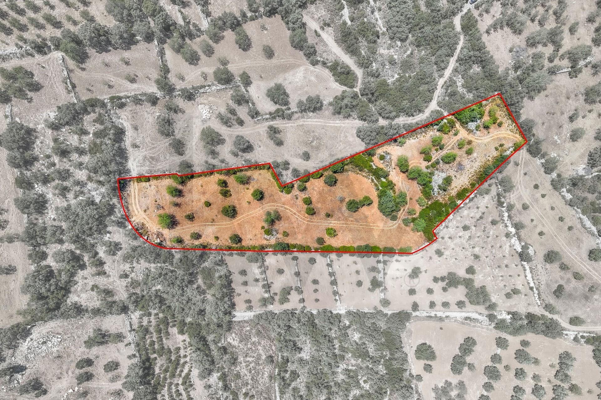 Enterprise Enterprise