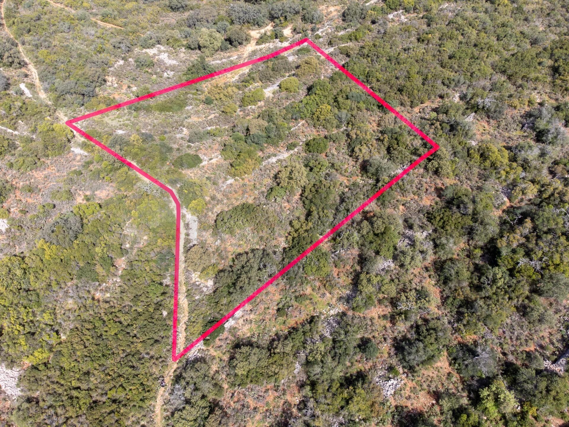 Enterprise Enterprise