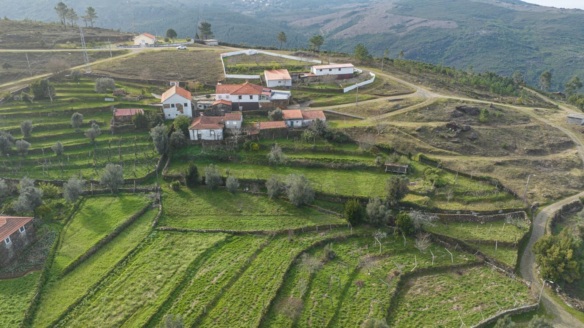 Enterprise Enterprise