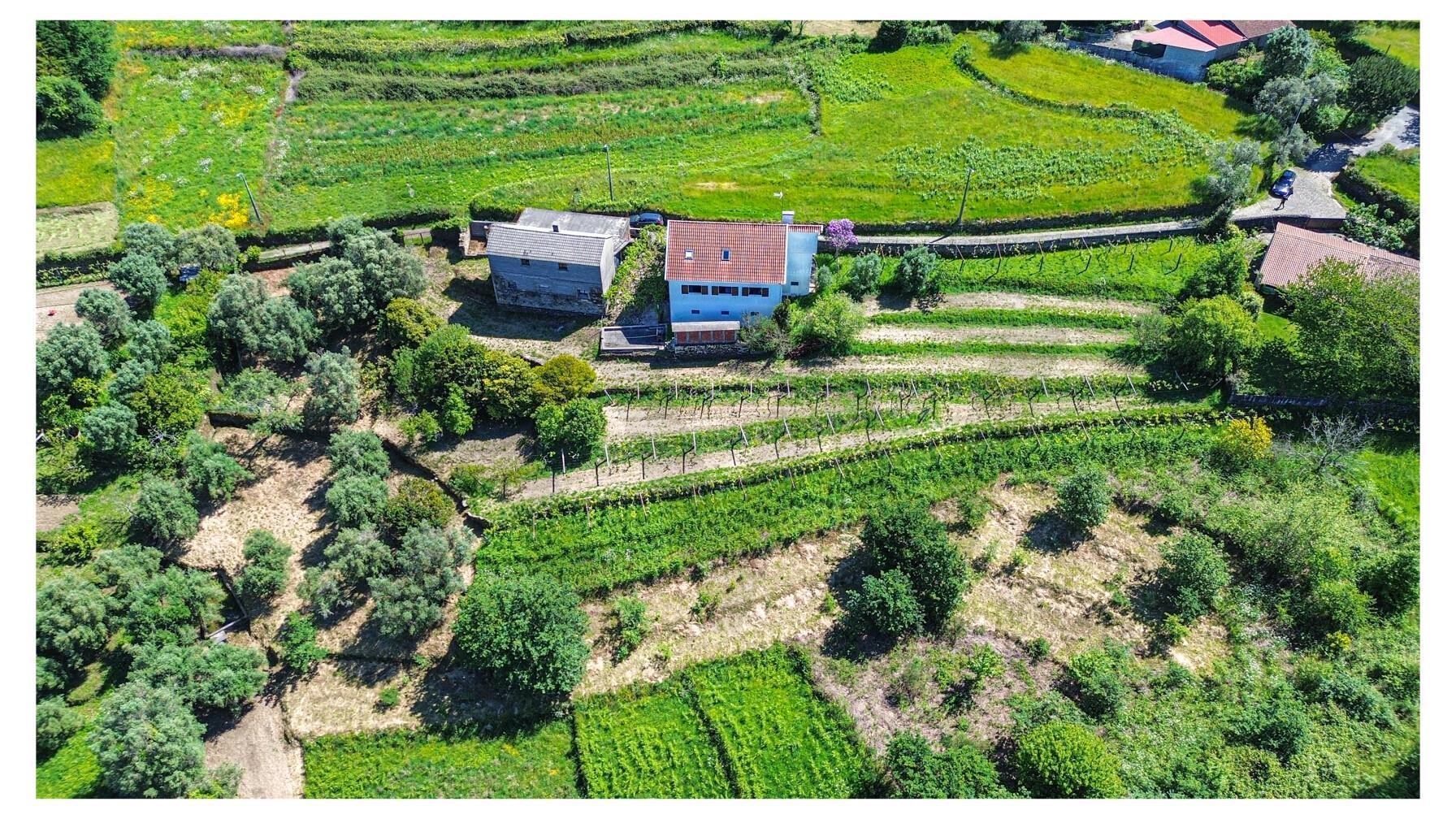 Enterprise Enterprise