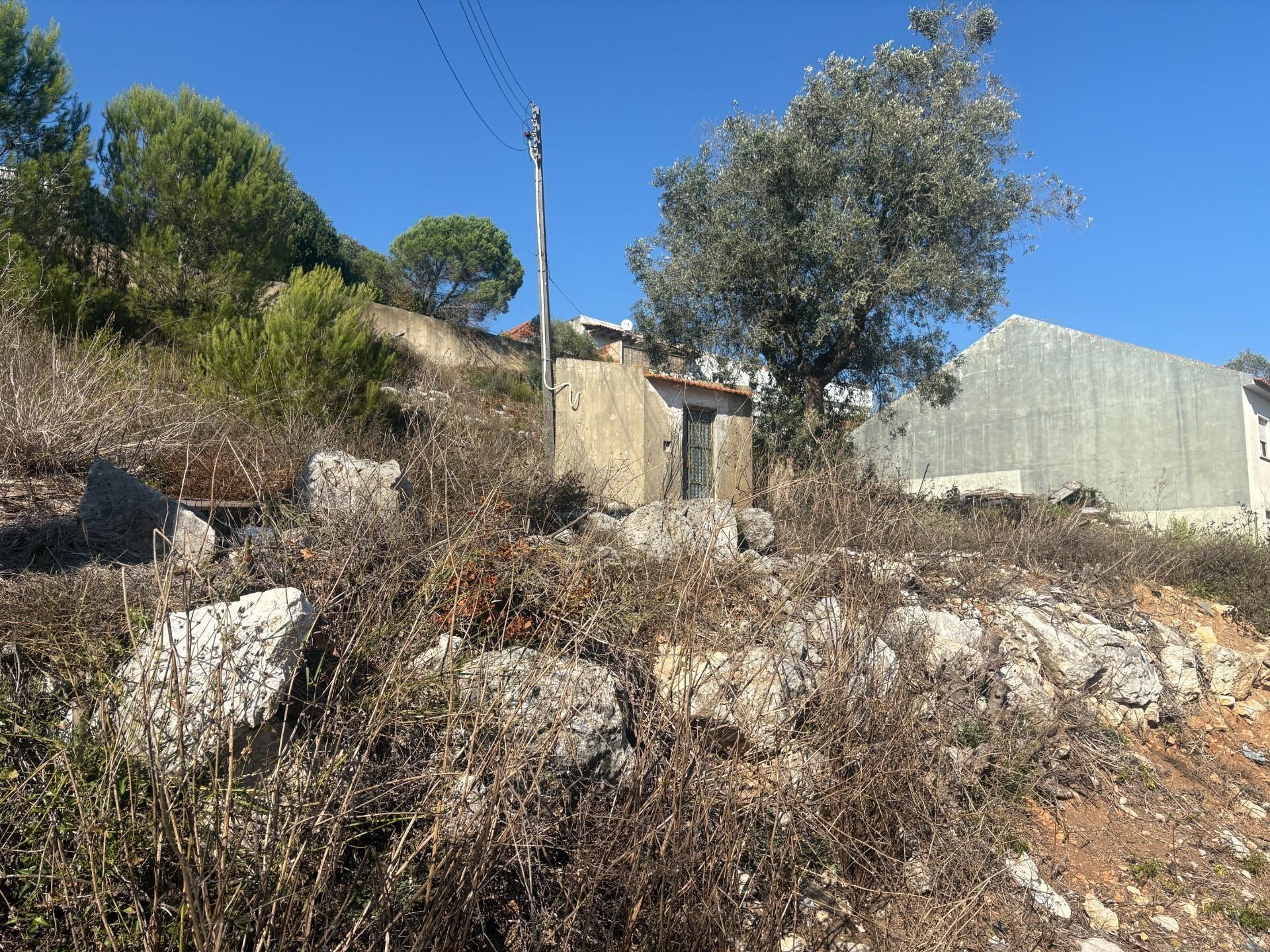 Enterprise Enterprise