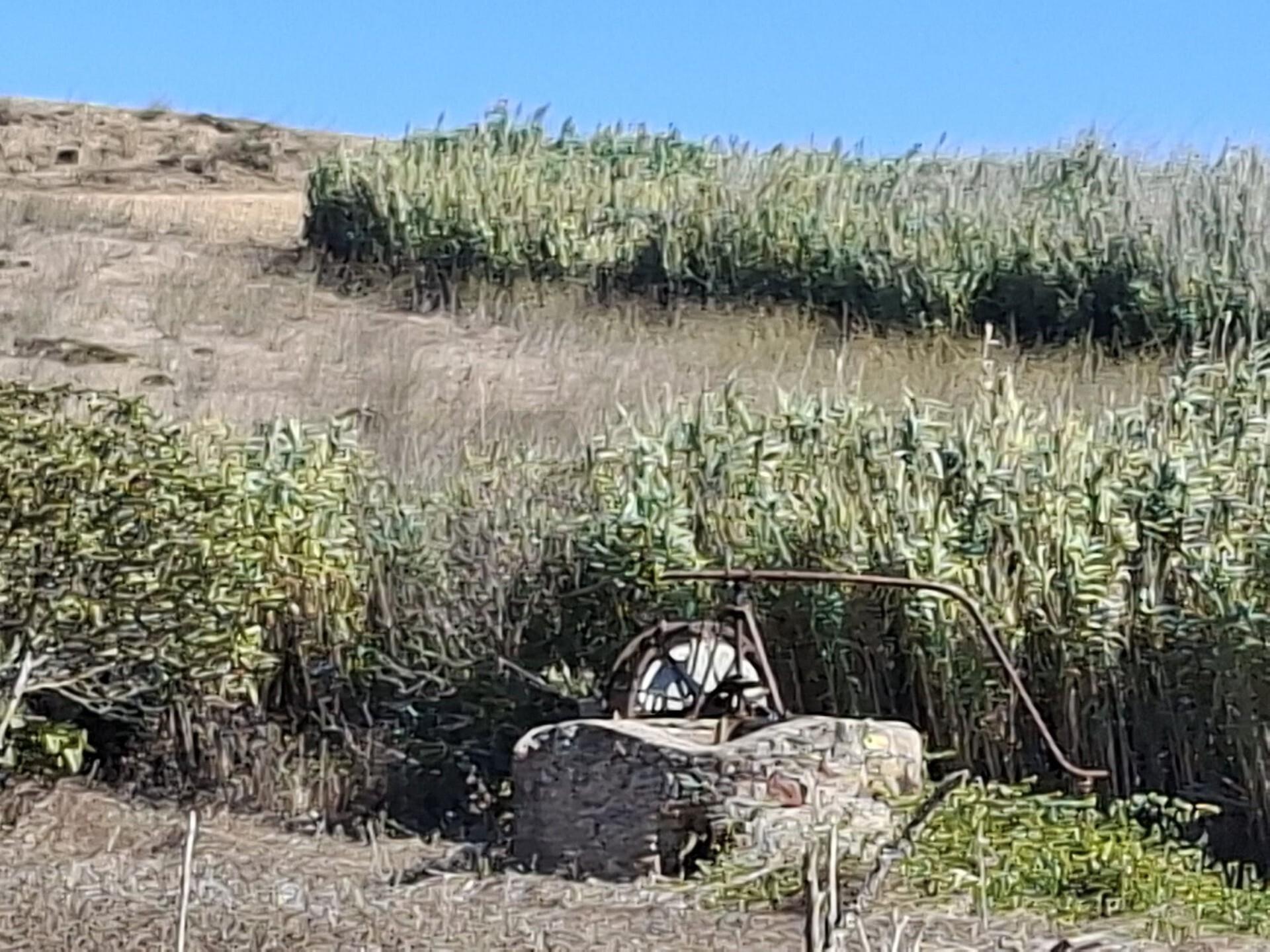 Enterprise Enterprise