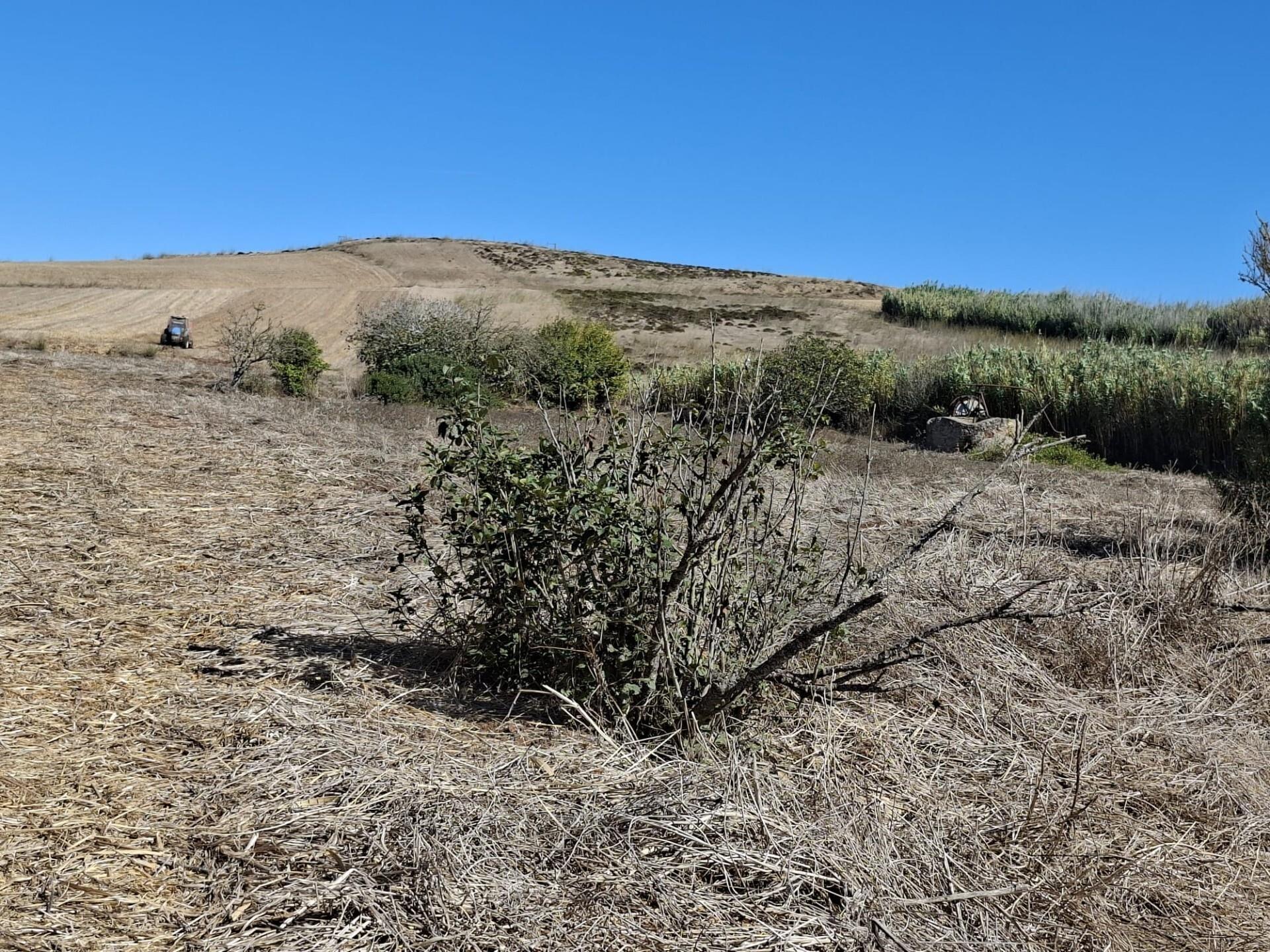 Enterprise Enterprise