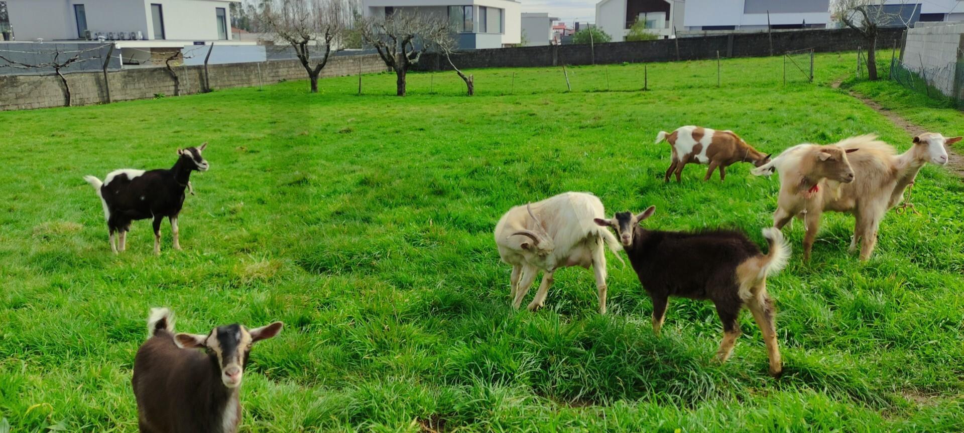 Enterprise Enterprise