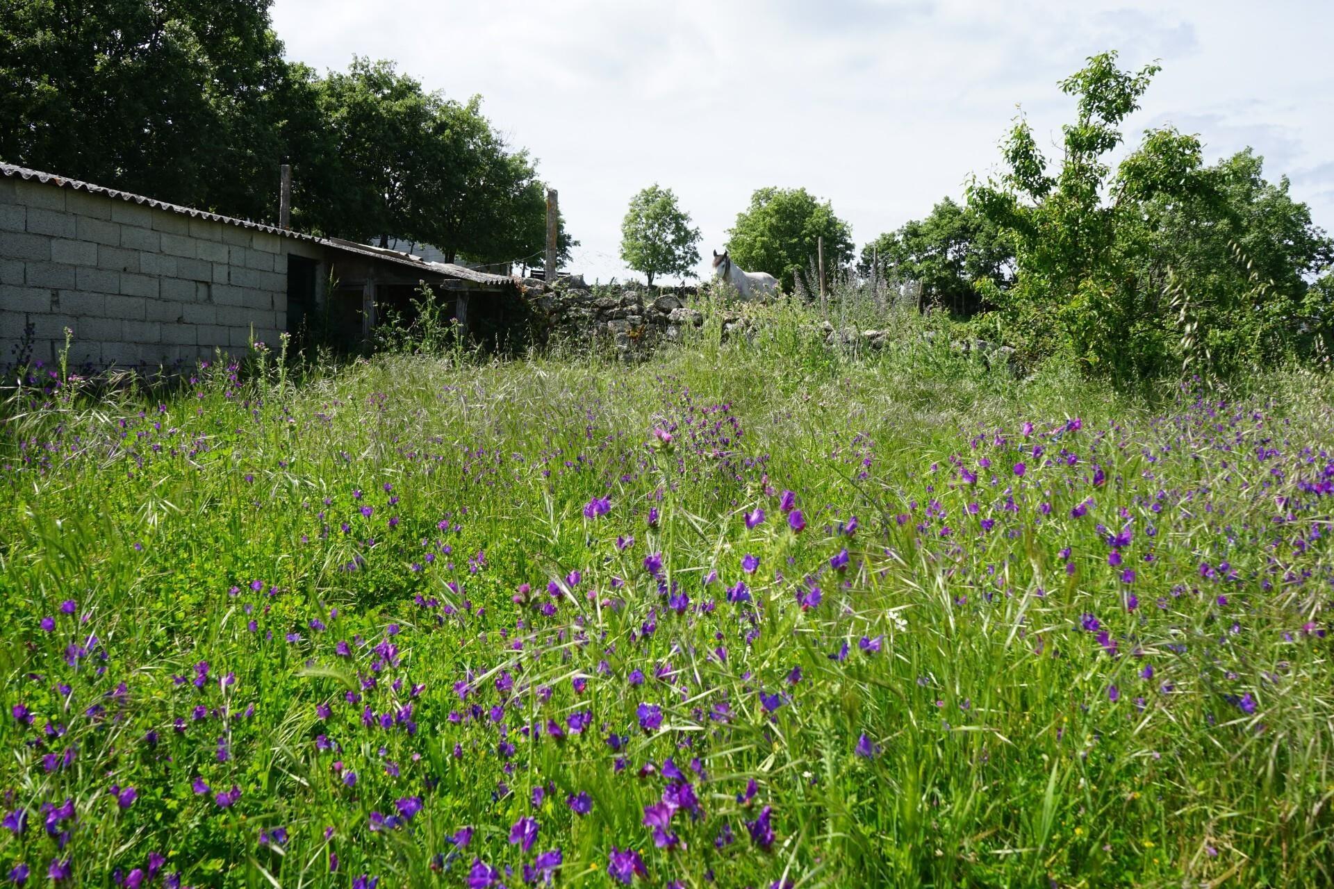 Enterprise Enterprise