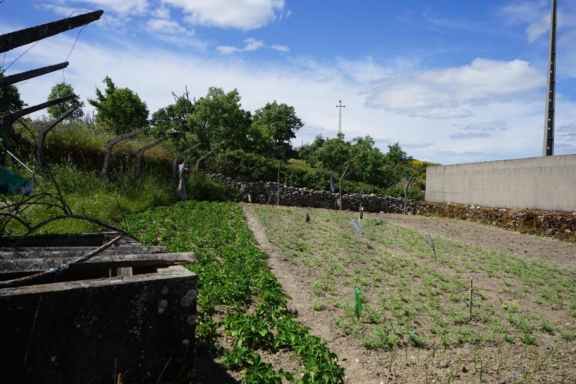 Enterprise Enterprise