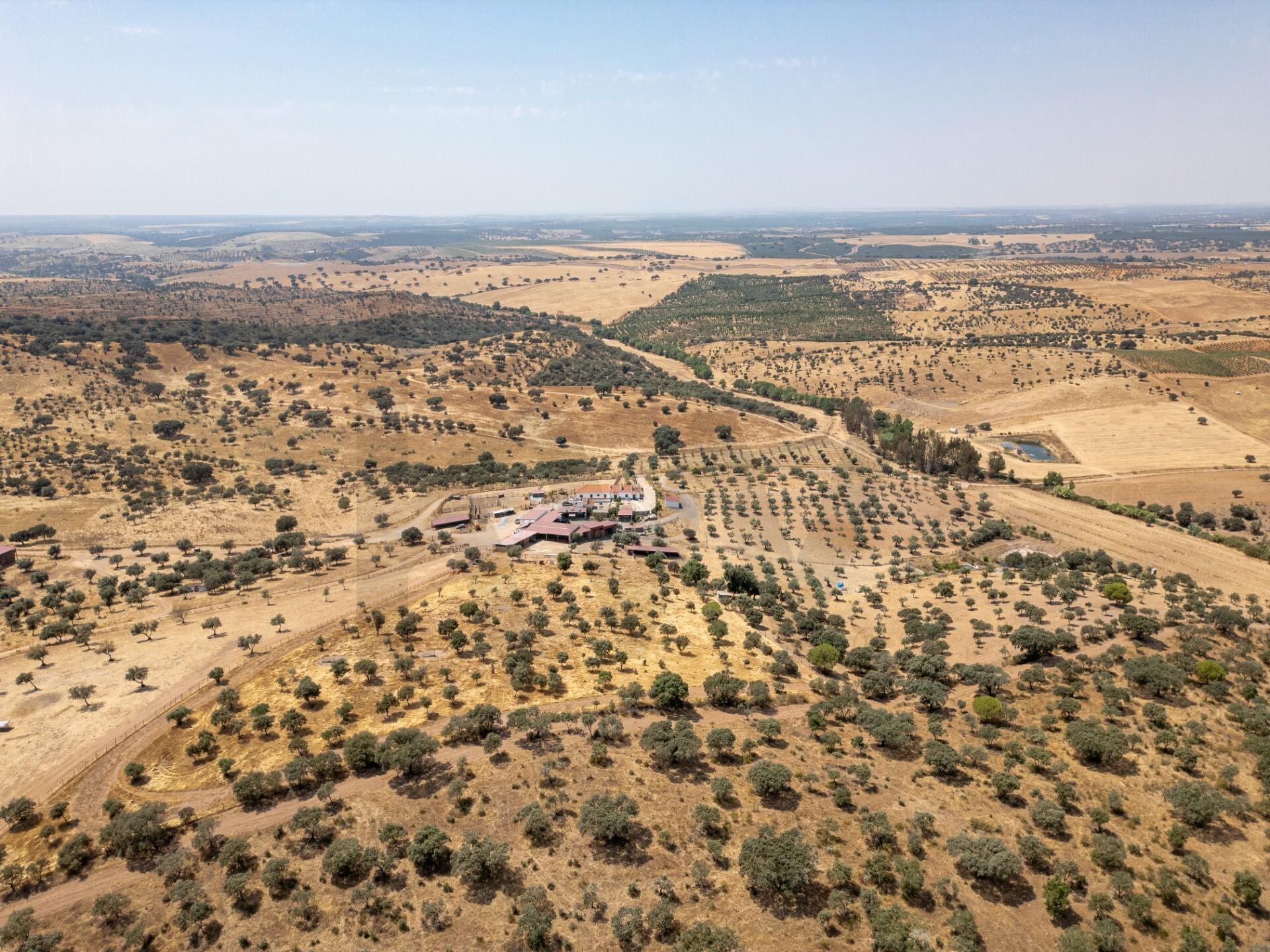 Enterprise Enterprise