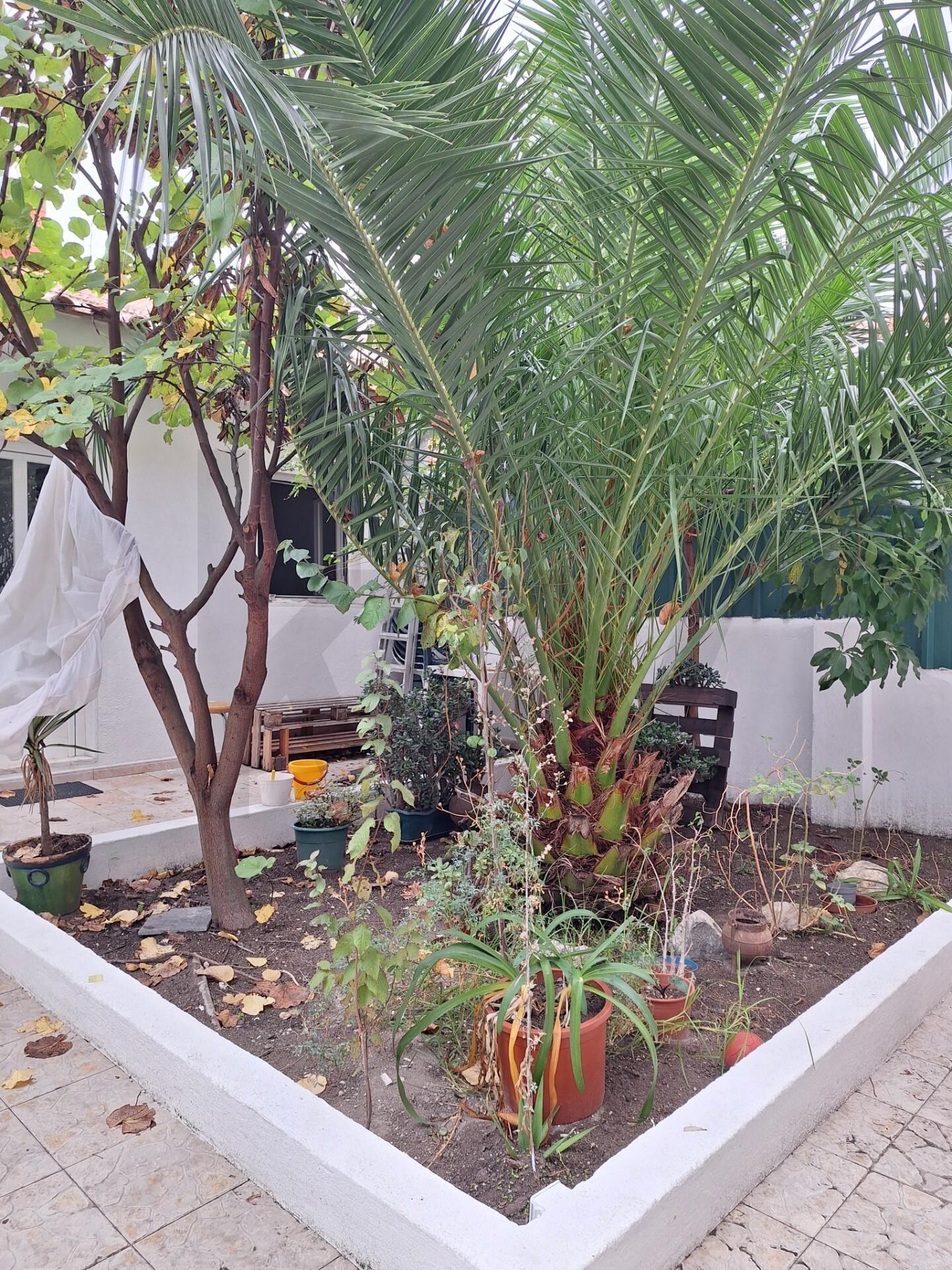 Enterprise Enterprise