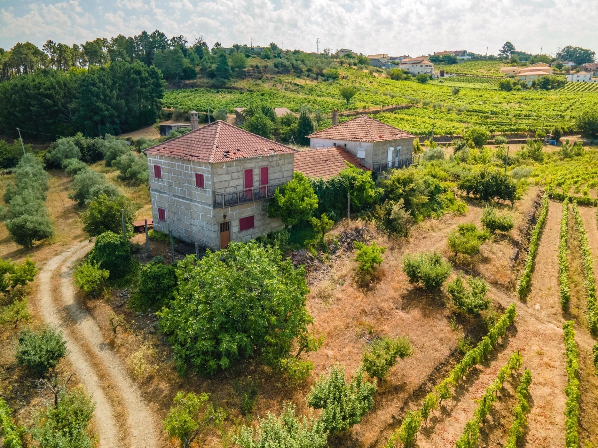 Enterprise Enterprise