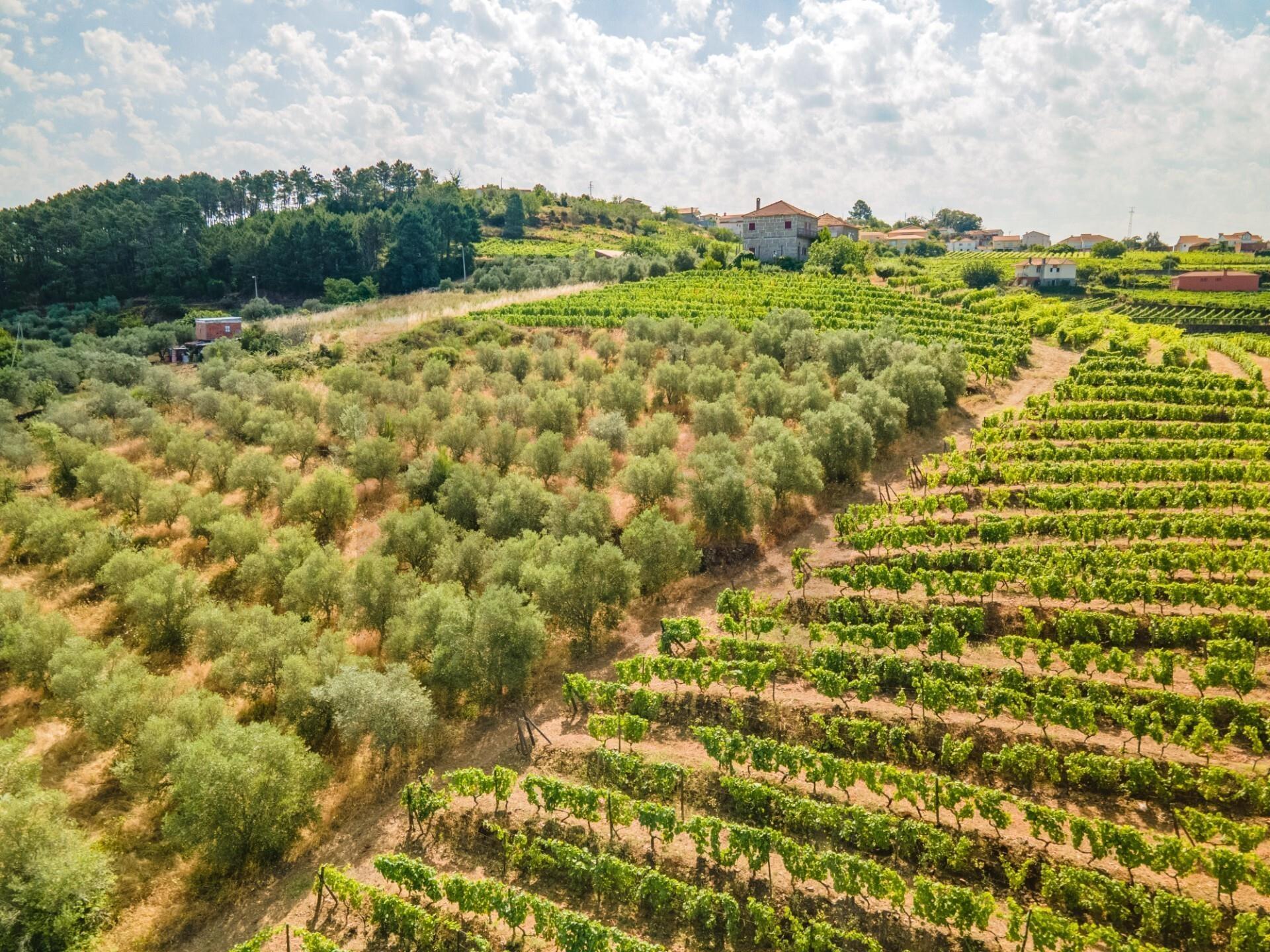 Enterprise Enterprise