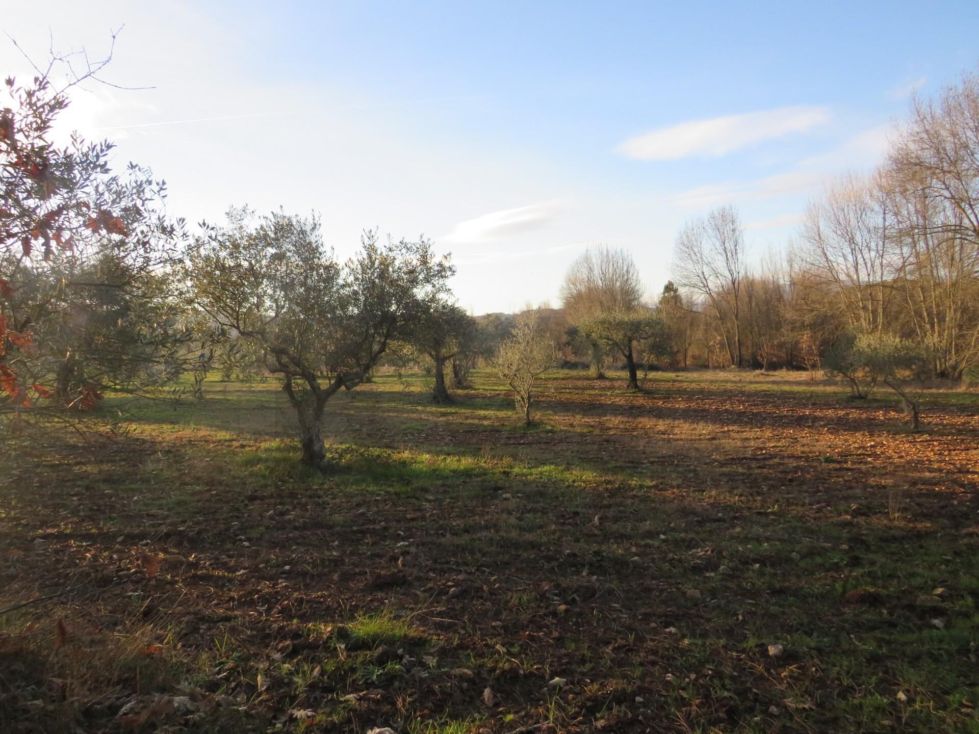 Enterprise Enterprise