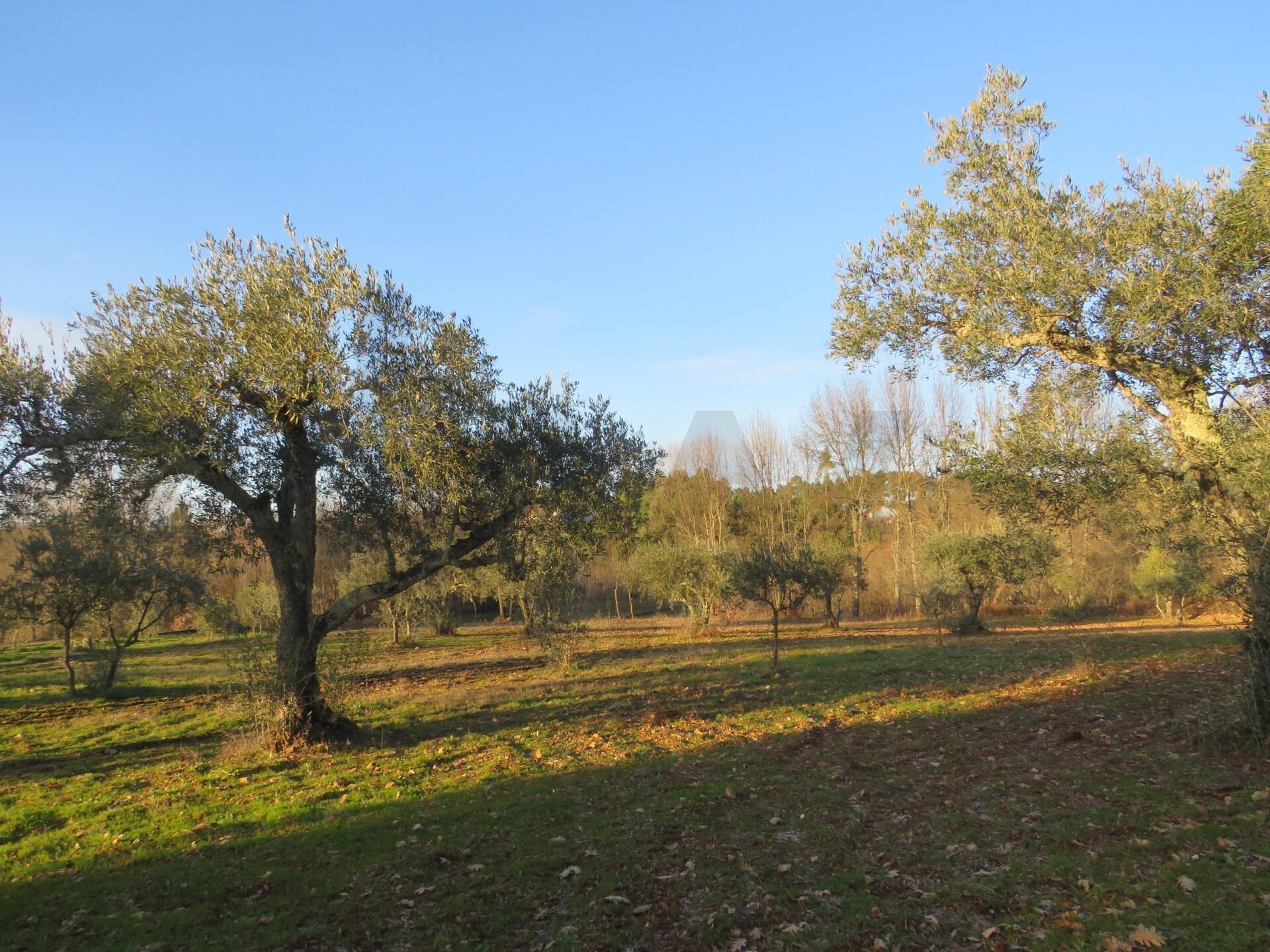 Enterprise Enterprise