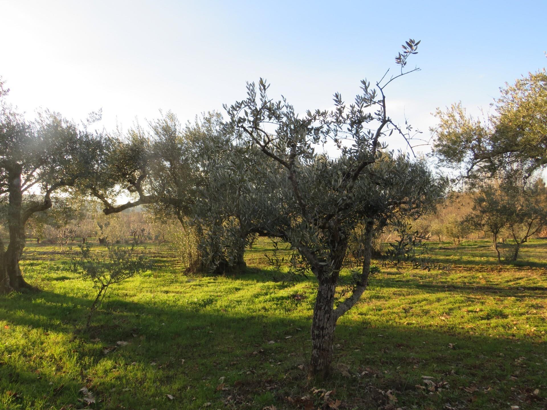 Enterprise Enterprise