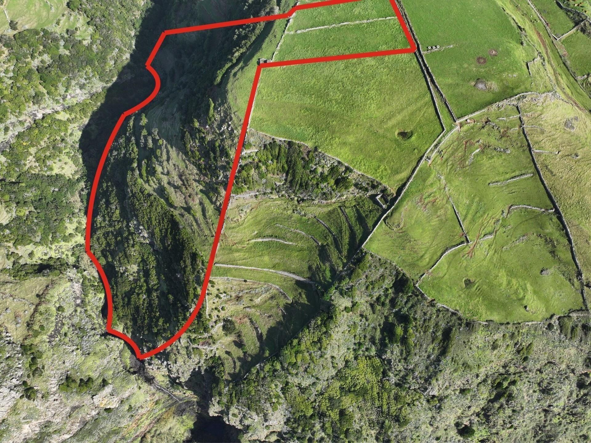 Enterprise Enterprise